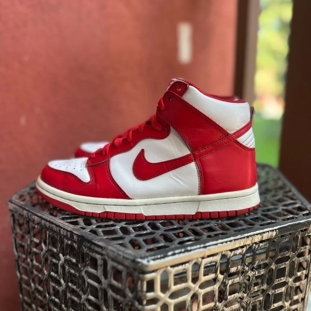 Nike Dunk High